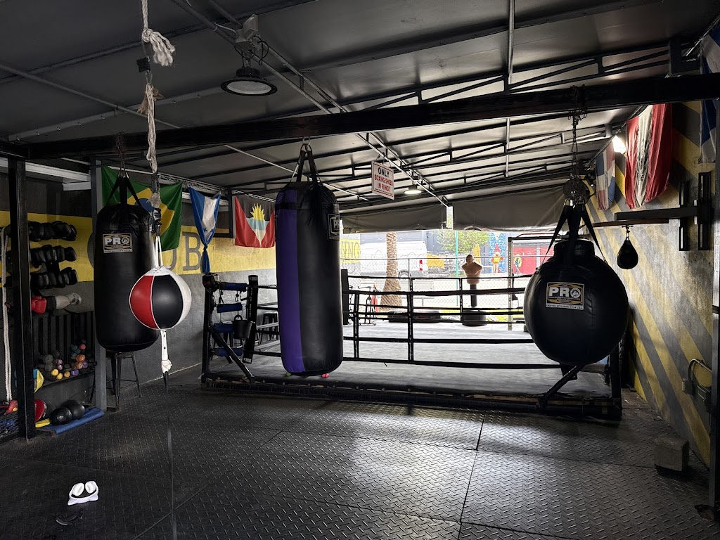  House of Pain Miami Boxing