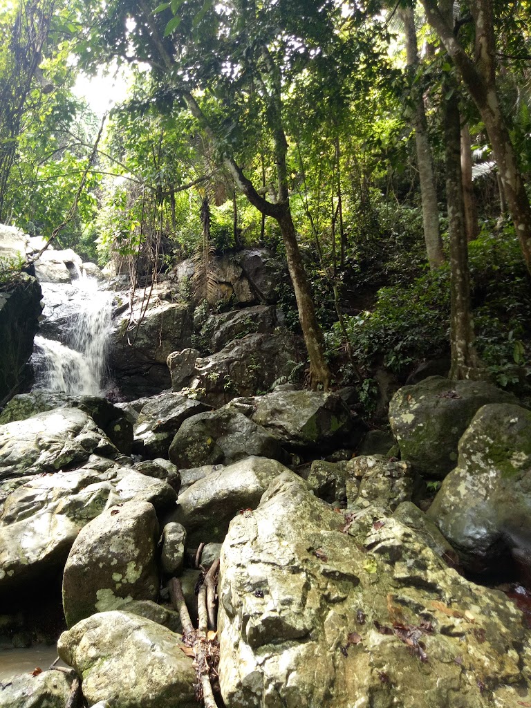 Tahura Wan Abdul Rachman (Gunung Betung)