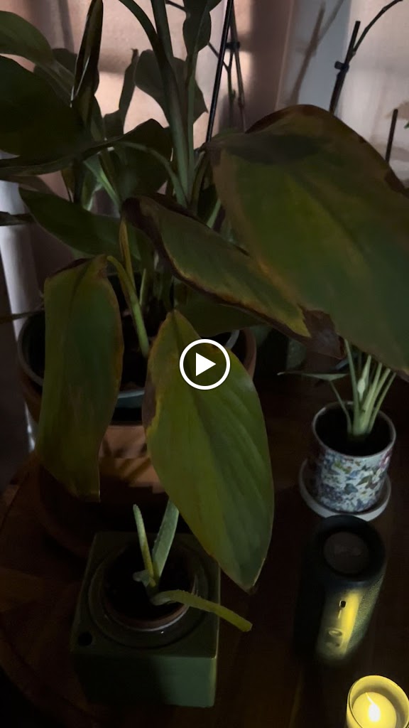  Slack Tide Yoga Studio