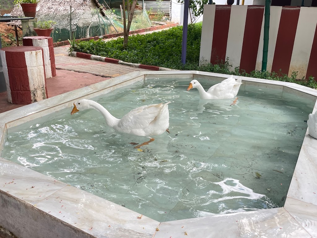Amenities