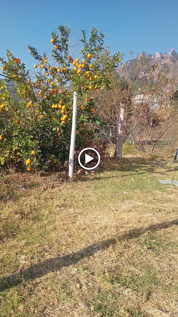 Videos