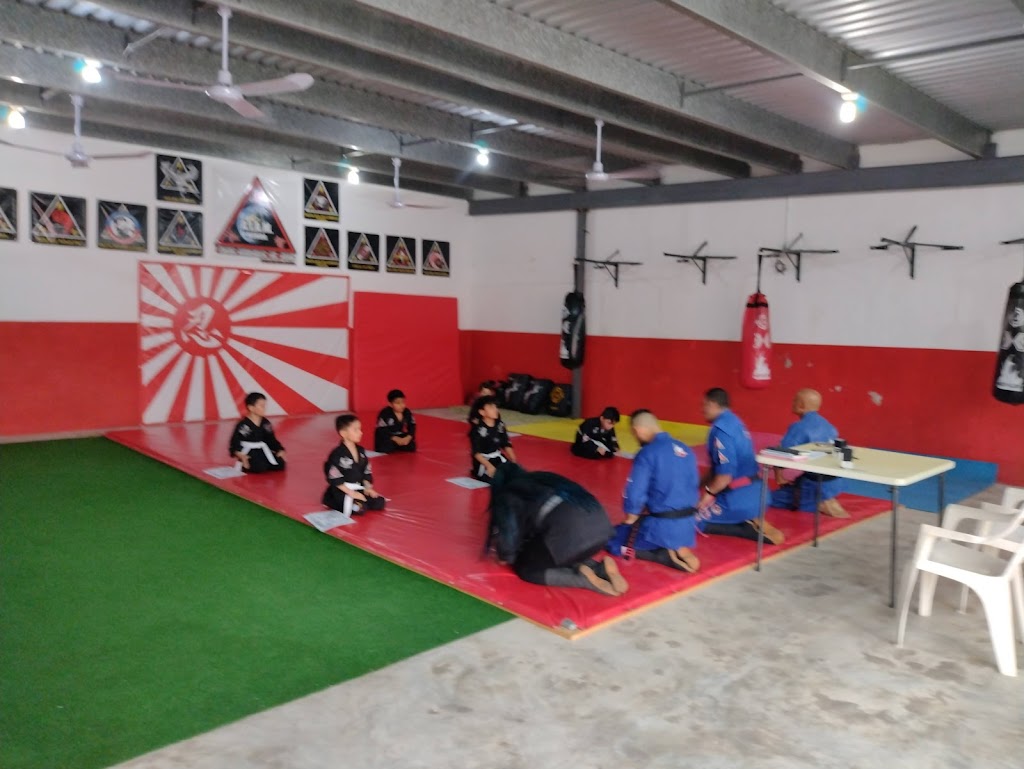 AIAM Merida, Academia Internacional de Artes Marciales