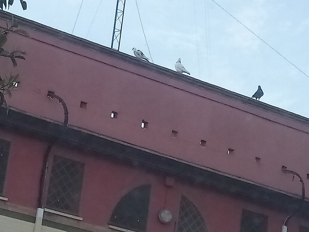 Bar Plaza Rafael Perez Local 1