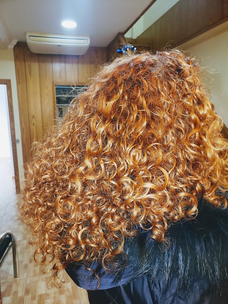 Peluqueria Style — Peinado