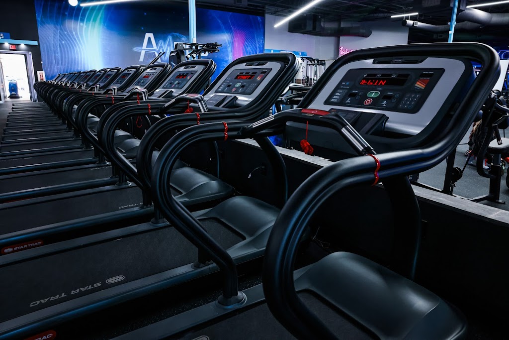  Amped Fitness (Carrollwood)