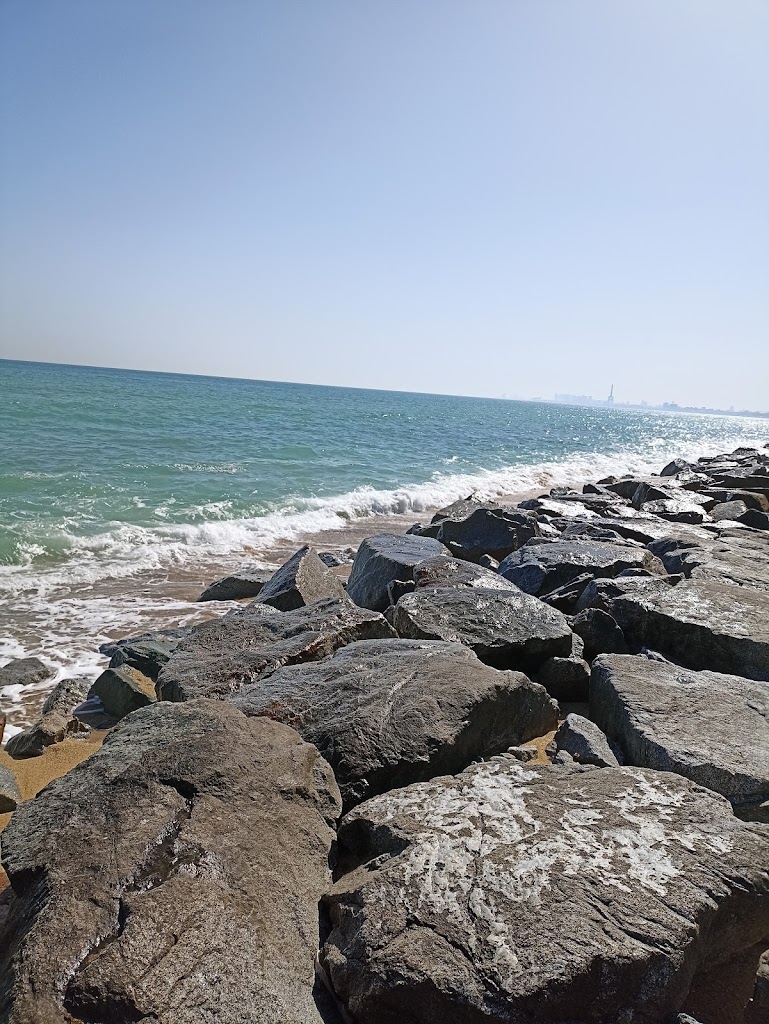 Platja de gossos Montgat-El Masnou