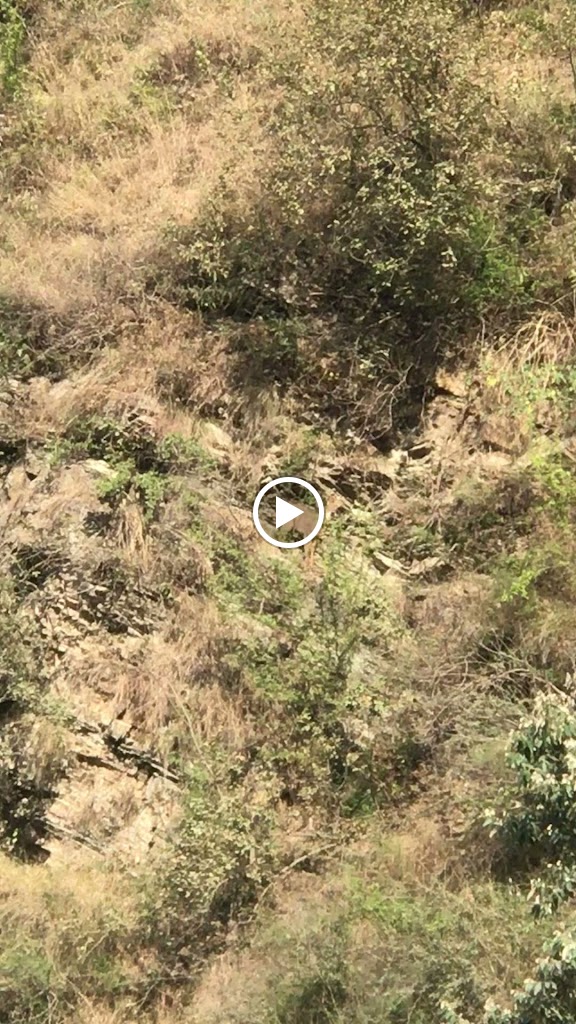 Videos