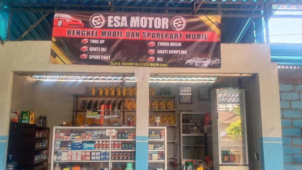 Esa Motor
