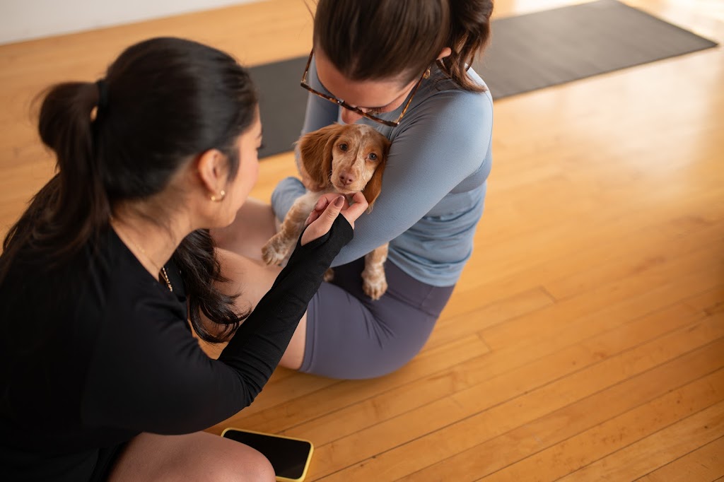  Puppy Sphere | Puppy Yoga (Boston)