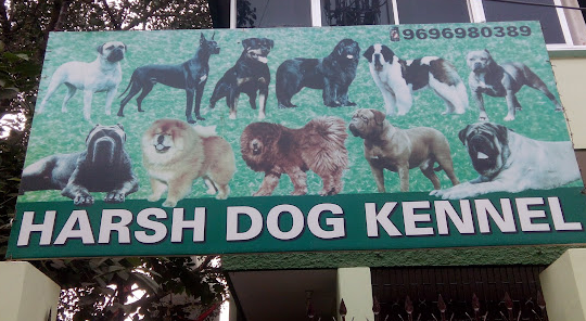 𝗛𝗮𝗿𝘀𝗵 𝗗𝗼𝗴 𝗞𝗲𝗻𝗻𝗲𝗹 - Pet Shop in Var - Reviews, Contact Number & Phone