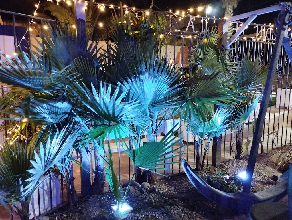 El Jardin de la Pepa