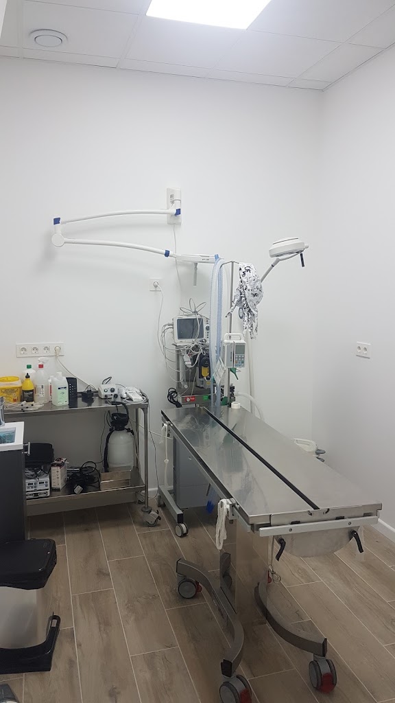 Clinica Veterinaria Irunvet — Del propietario