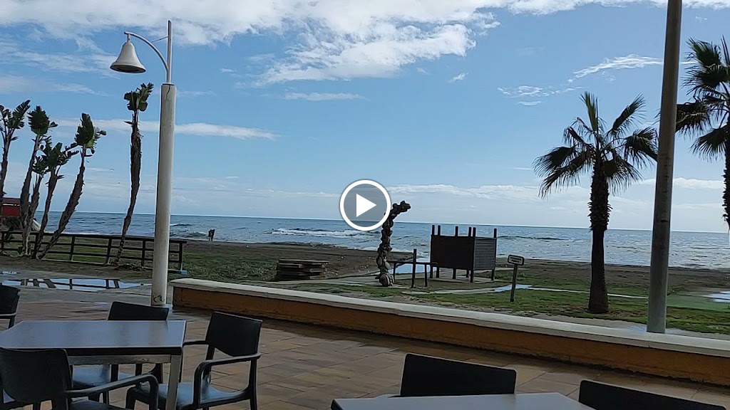 Cafe Habana — Mas recientes