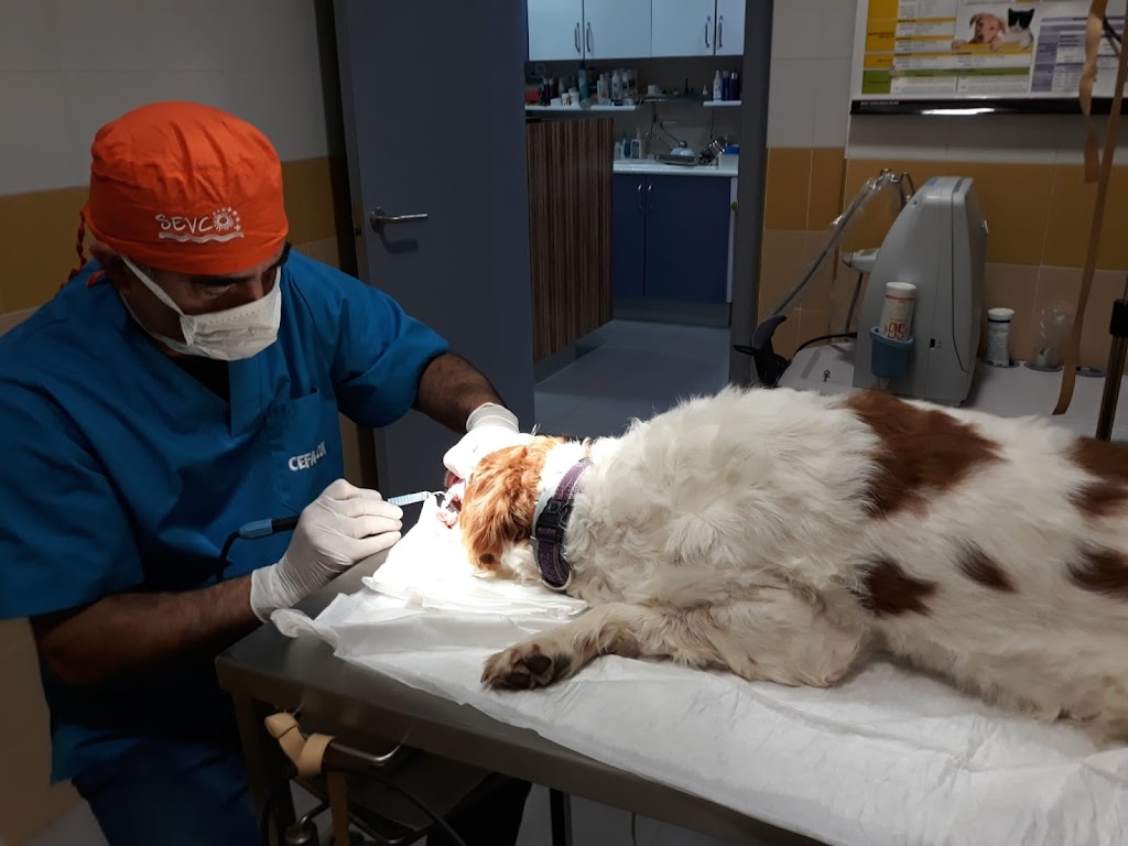 Clinica Veterinaria HERREROS