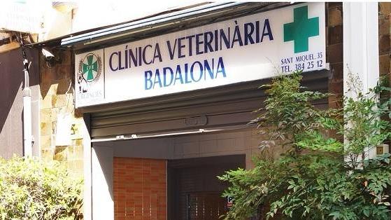 Clinica Veterinaria Badalona