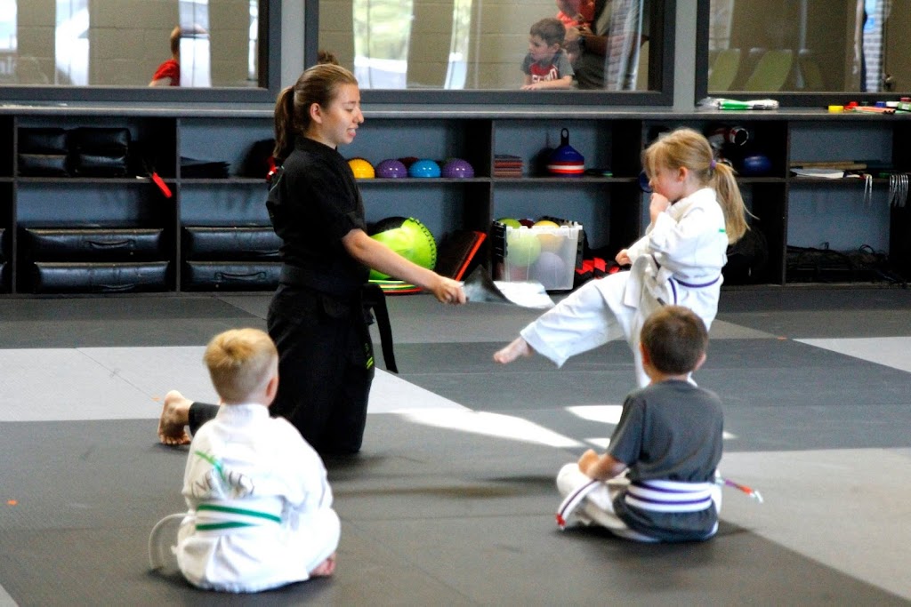  Infinity Martial Arts - Fitchburg & Verona Area