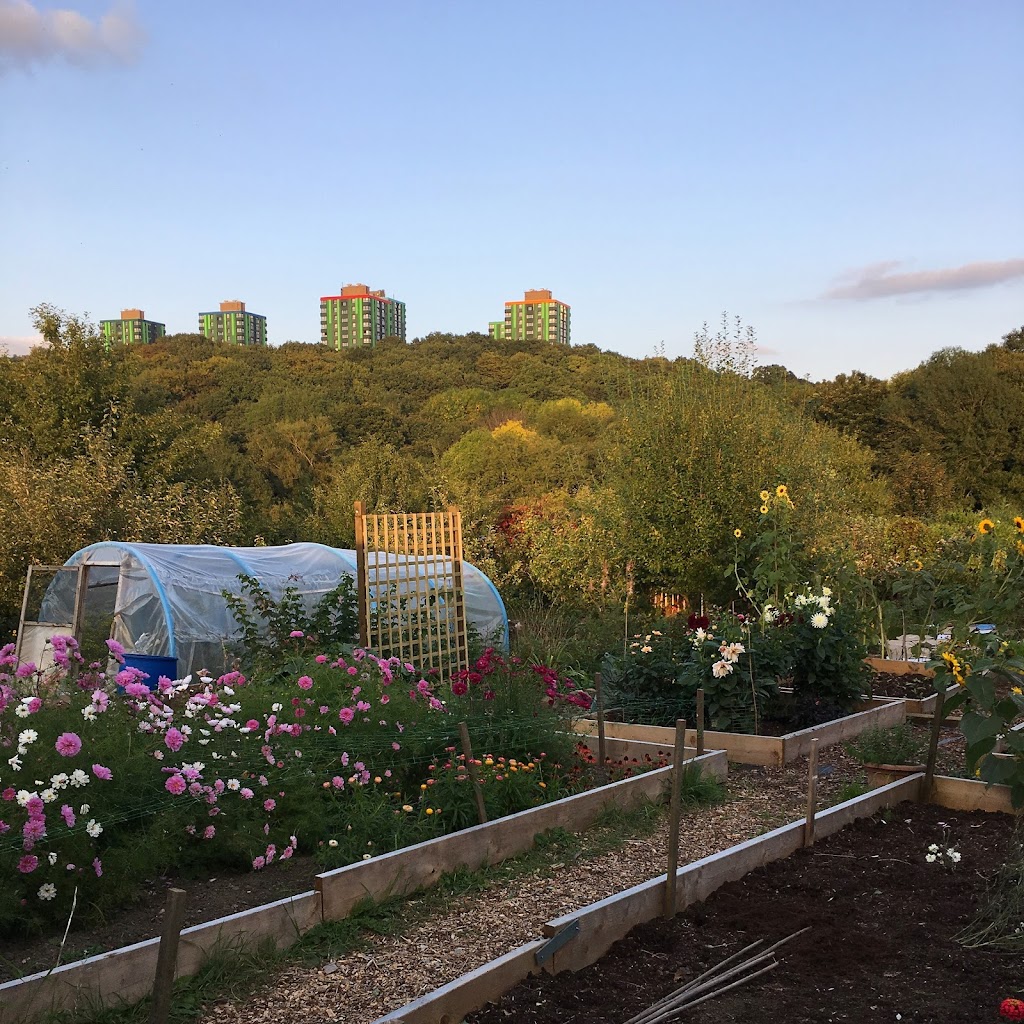 Bloom Sheffield CIC