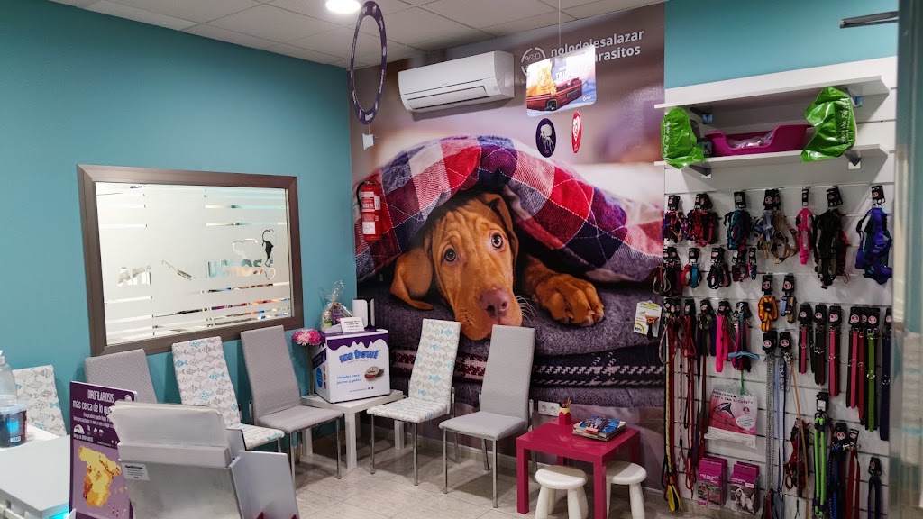 Clinica Veterinaria Animaluchos — Del propietario