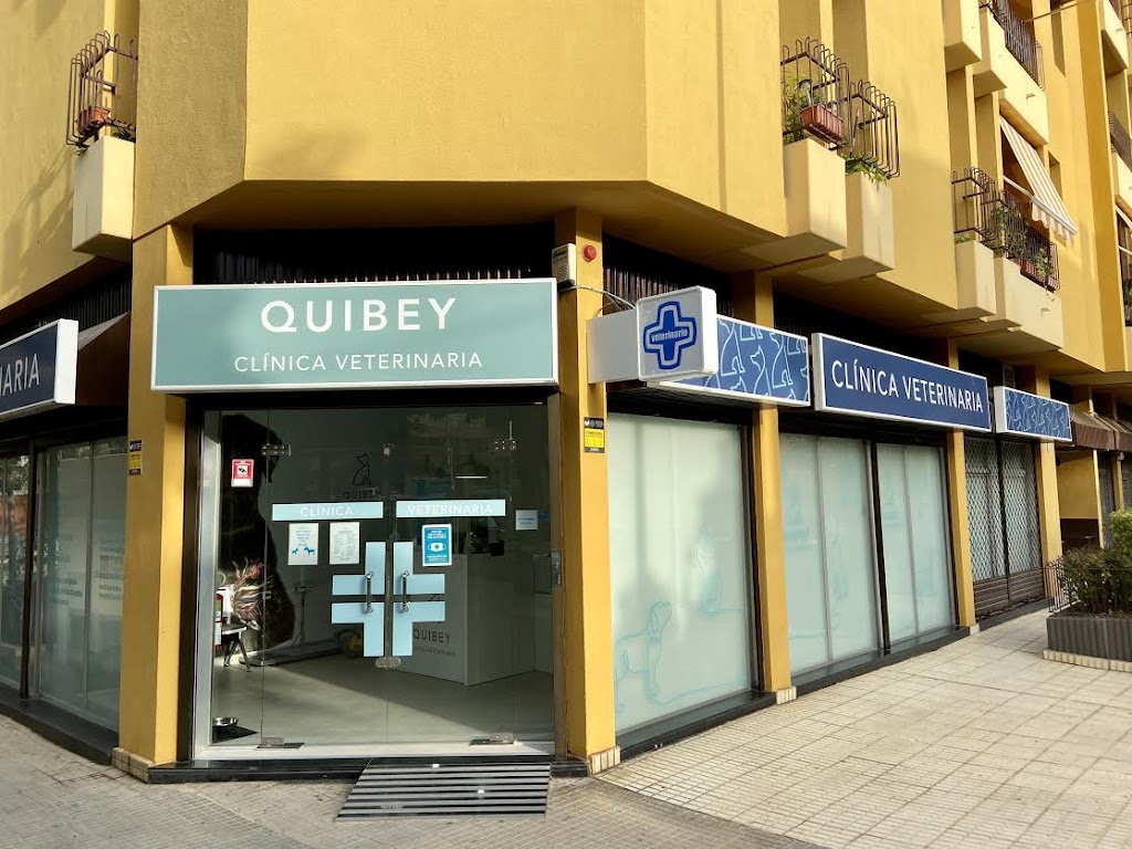 Quibey | Veterinario en Santa Cruz de Tenerife en Santa Cruz de Tenerife