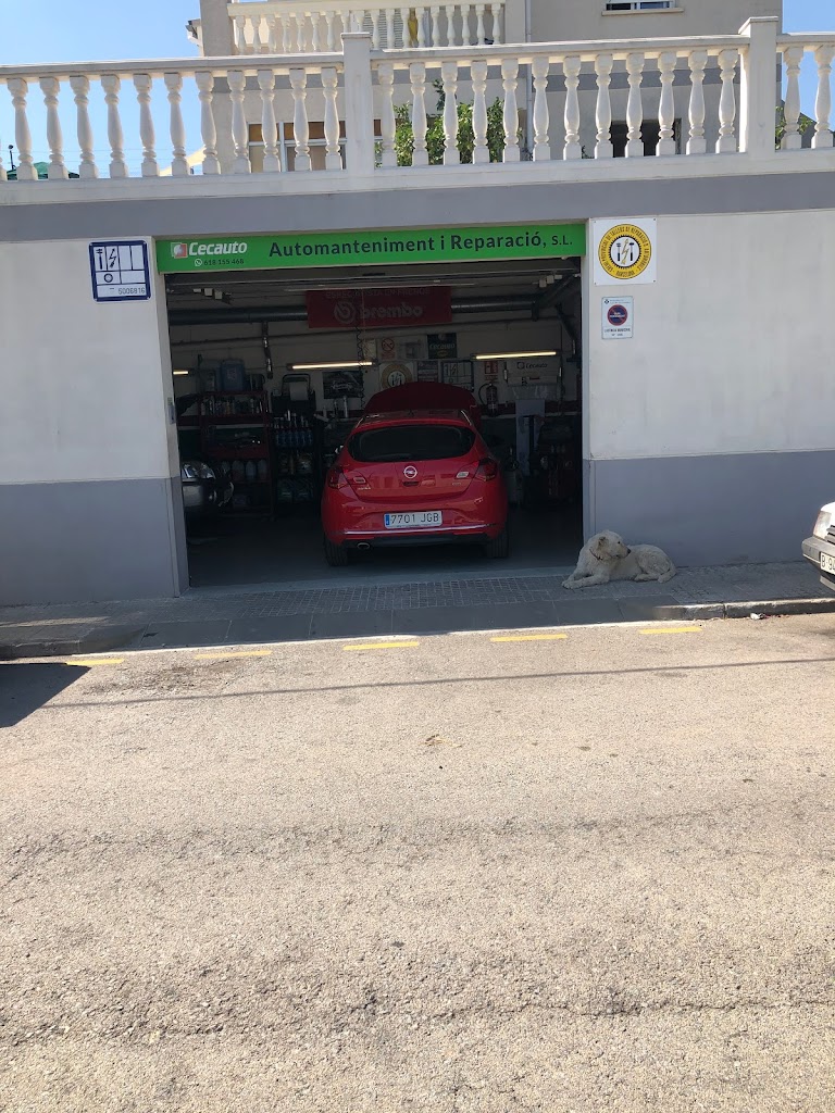 Automantenimiento y Reparacion SL