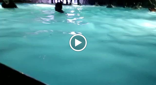 Videos