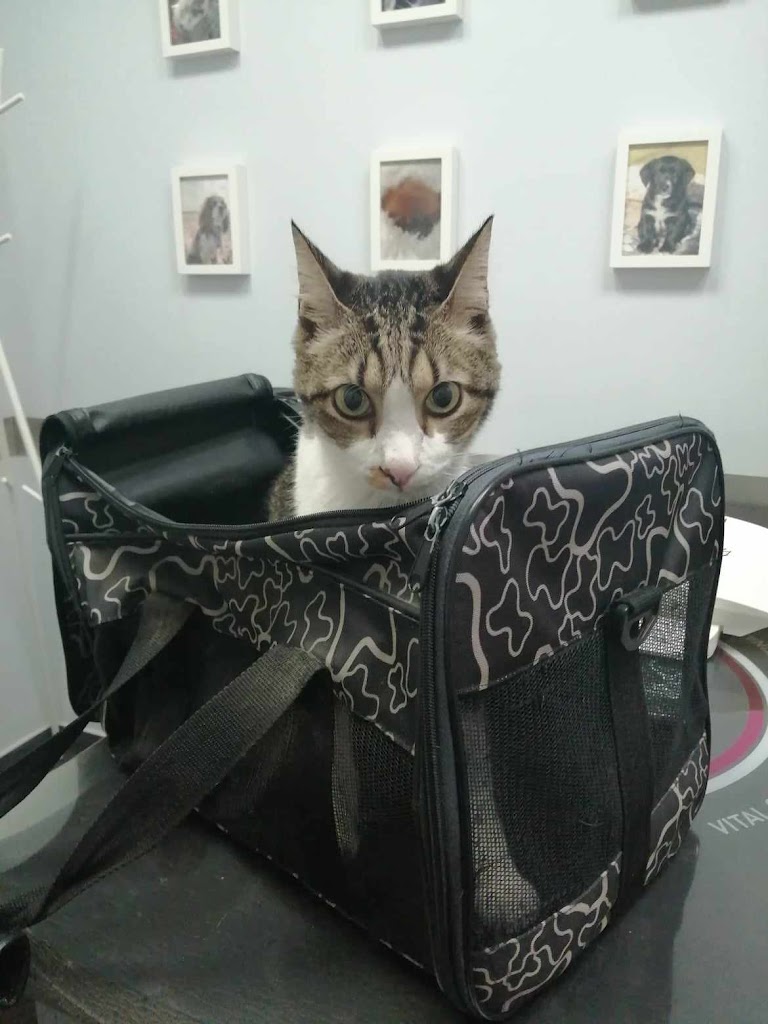 Foto da avaliação