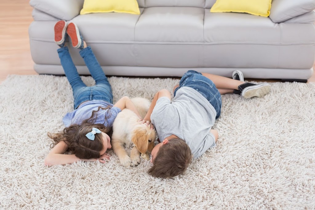 Limpiezas y Servicios Secoman S.L.