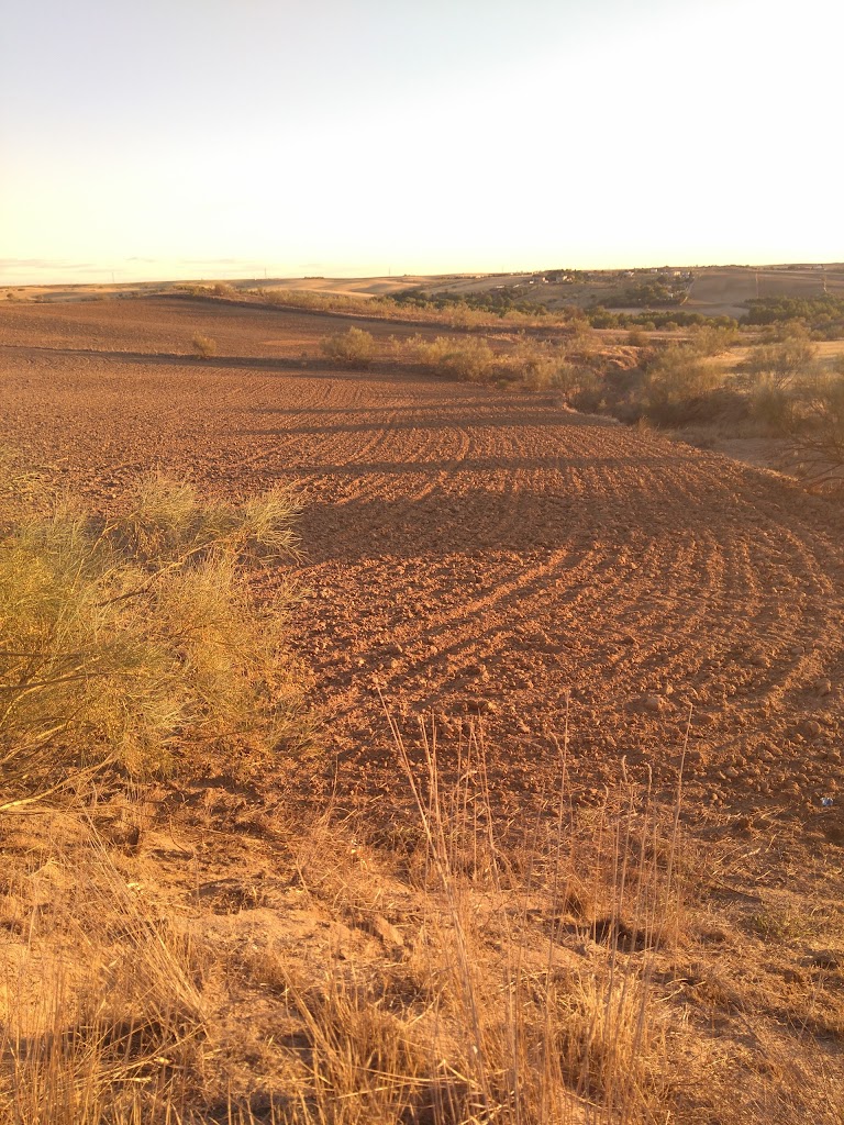 Cerro De Las Cabezuelas