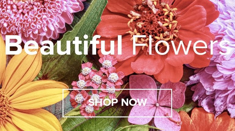 Corona Florist