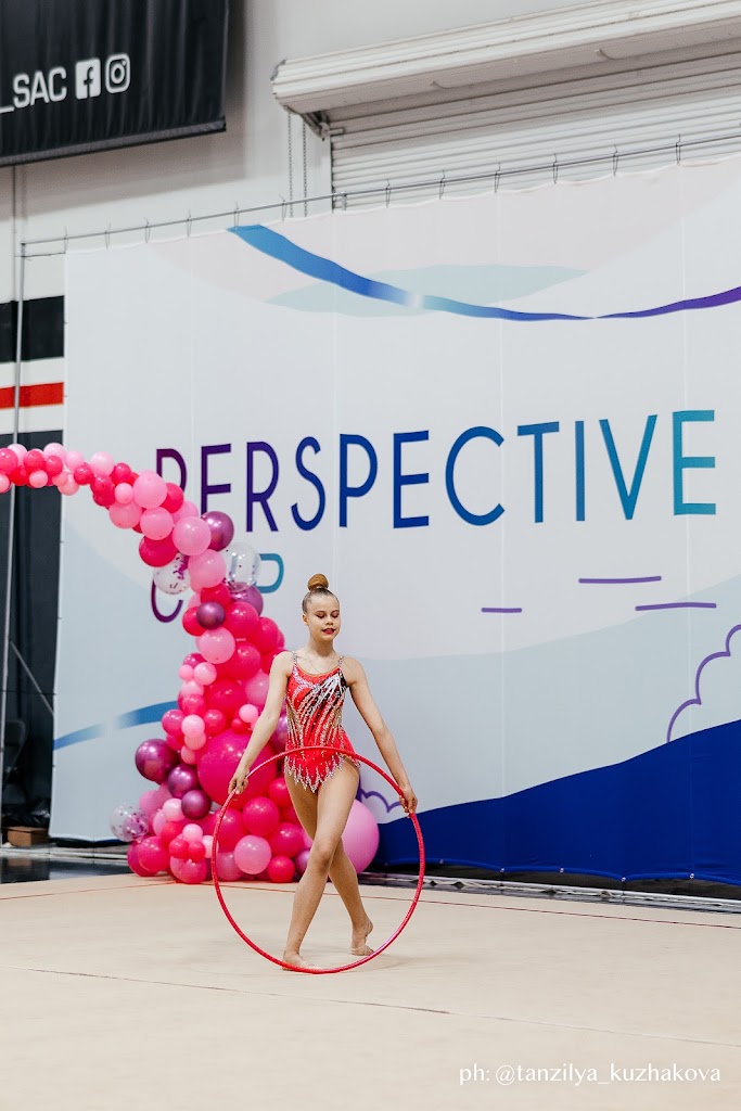  Perspective gymnastics