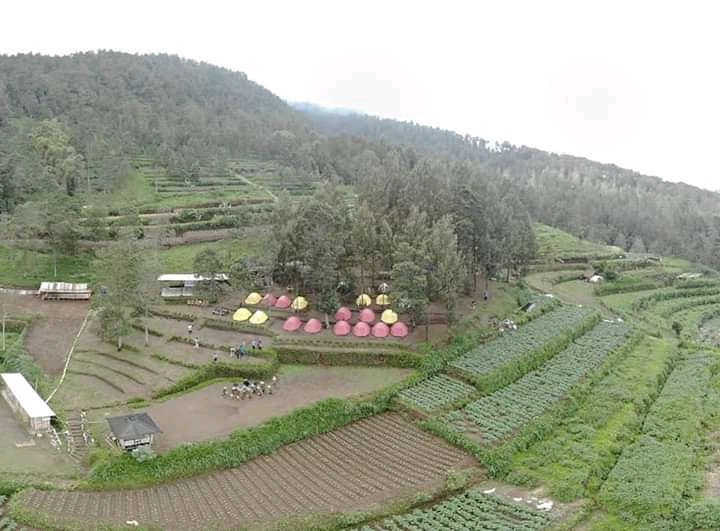 Villa & Camping Ground Pinus Kenteng