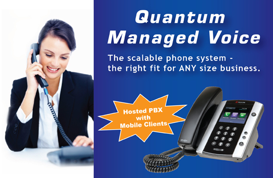 Quantum Internet And Telephone