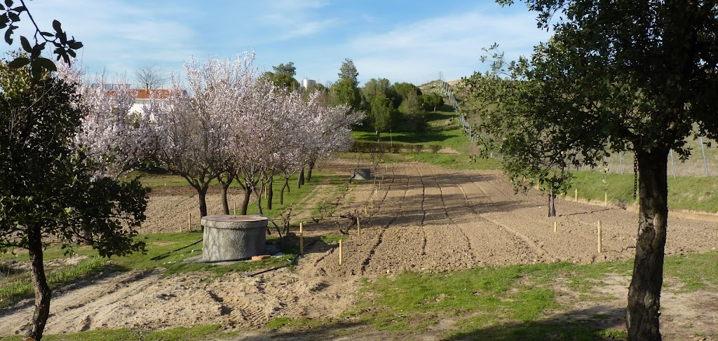 Mi Huerto En Tres Cantos