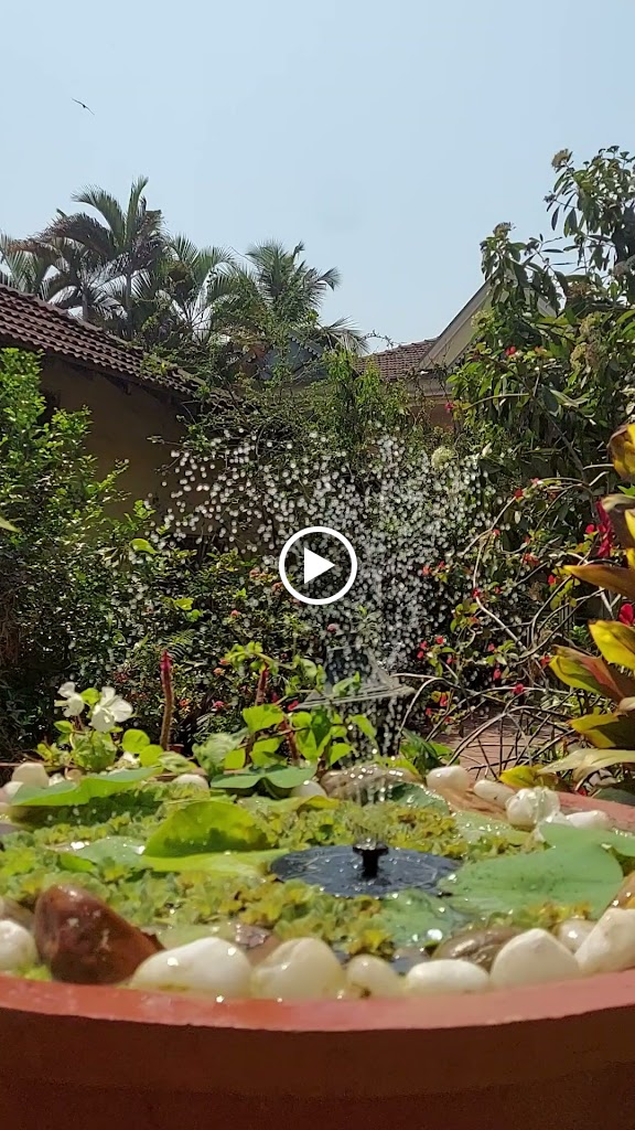 Videos