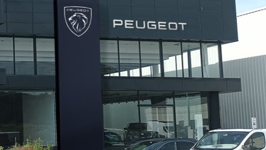 Peugeot Blendio Autogomas | Lugo