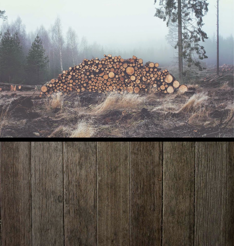 Stumptown Web Design