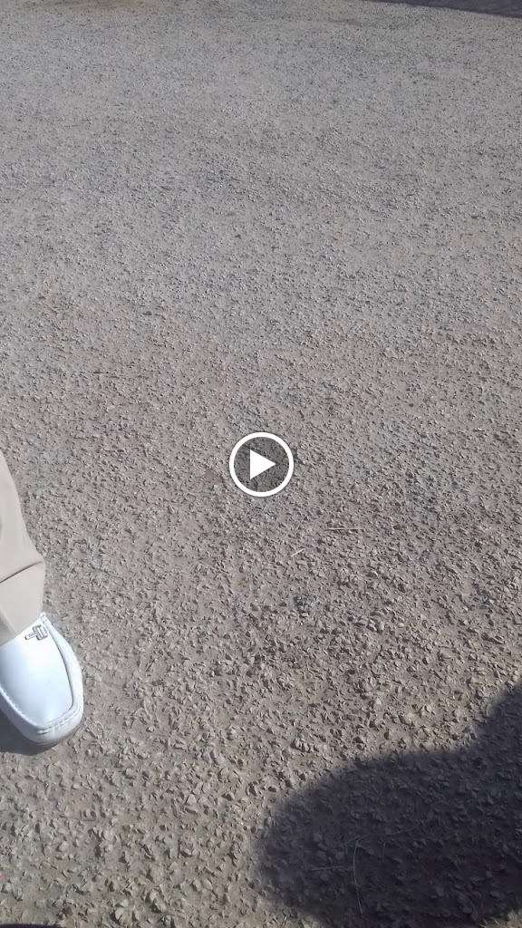Desguace Zorrito — Videos
