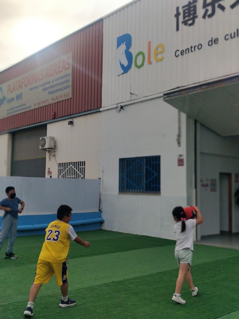 Bole culture and art School — Del propietario