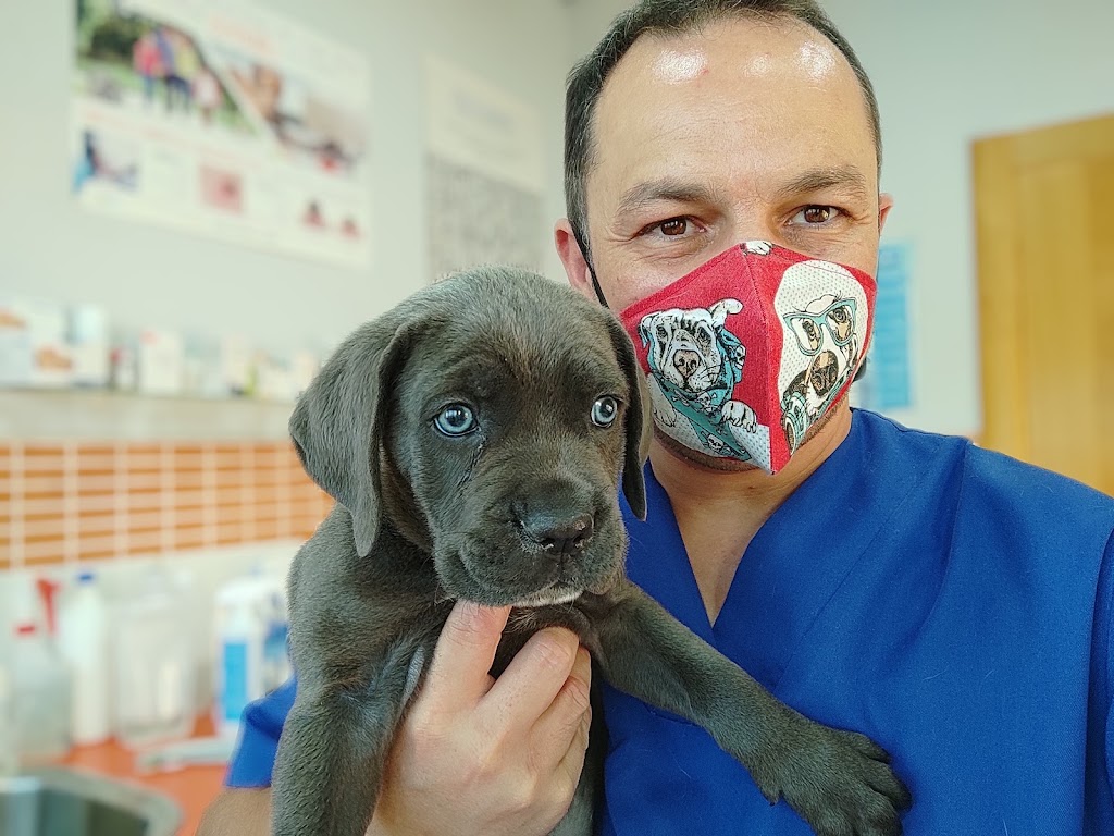 Clinica Veterinaria Argos