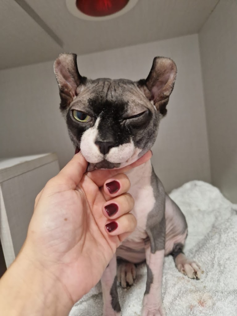 Clinica Veterinaria Montecerrao — Del propietario