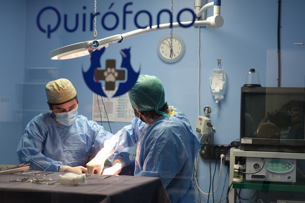 Centro Veterinario Selcan