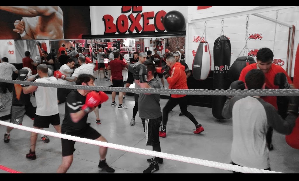 Escuela de Boxeo Boxearte. — Boxeo