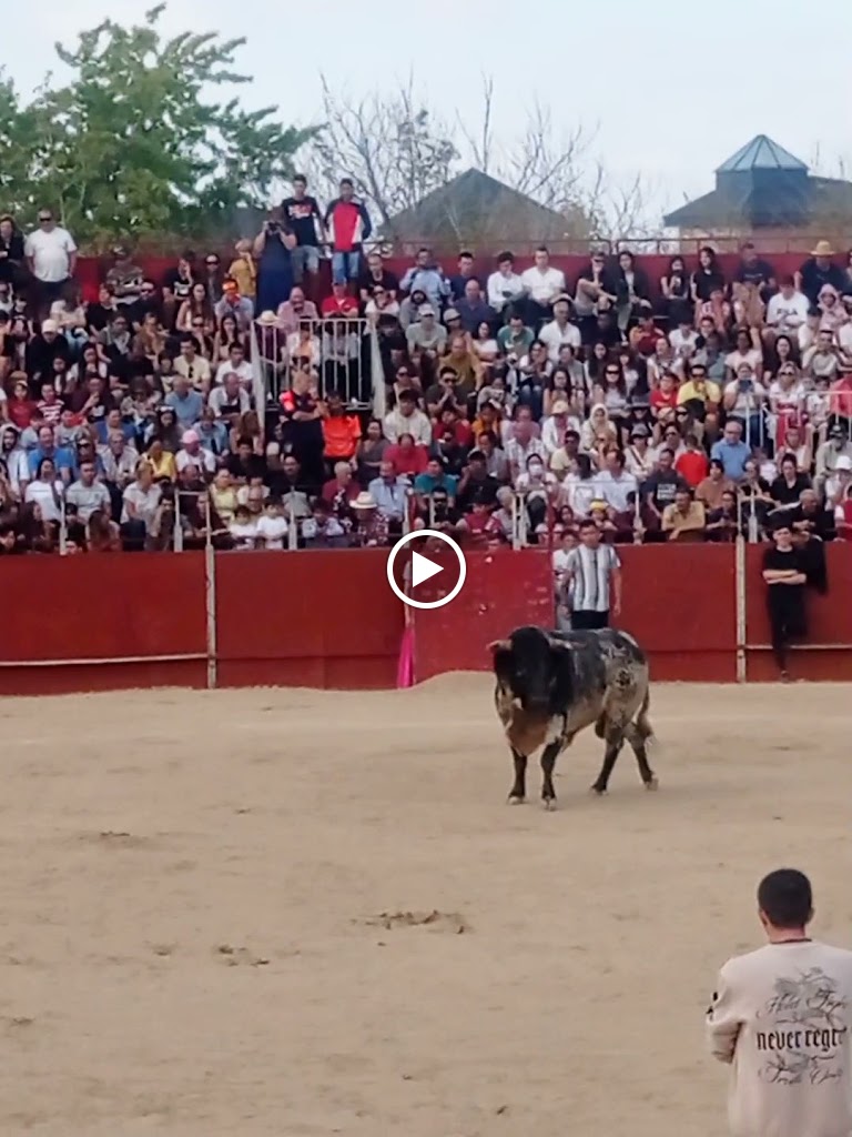 Parking Mercadillo — Videos