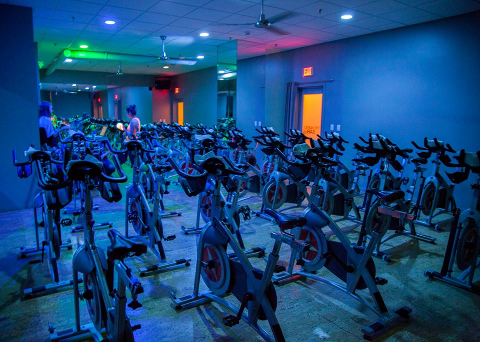  The Handle Bar | Harvard Square Location