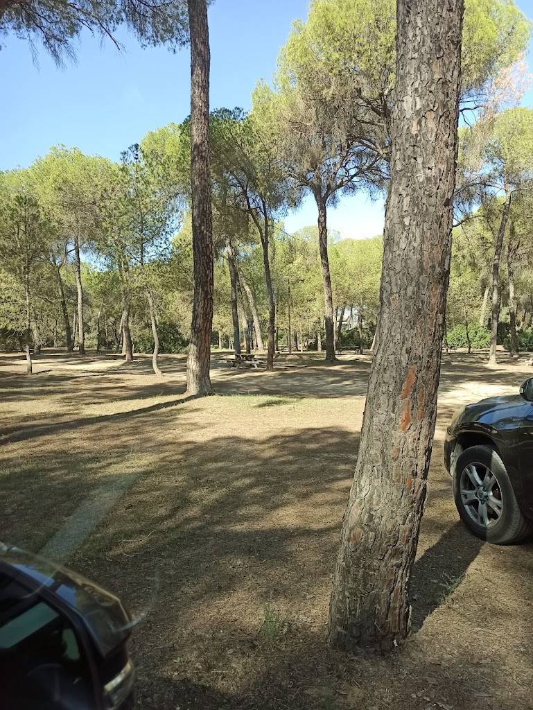 Pinares De Aznalcazar
