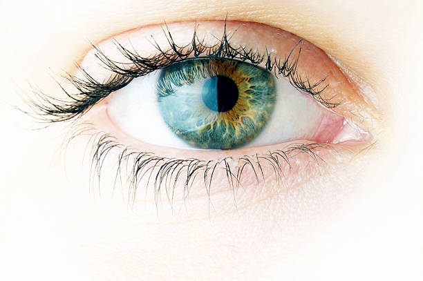 Jeevan Nidhi Eye Clinic Research Centre