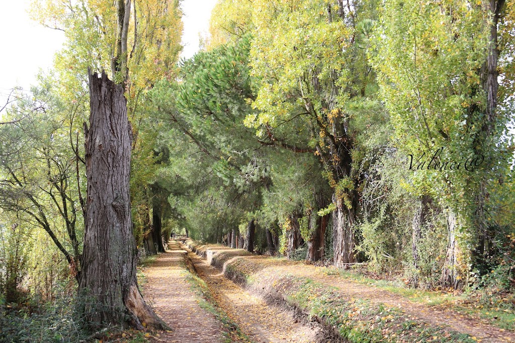 Senda peatonal y cicloturista