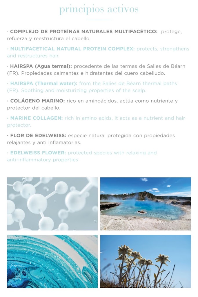 Rocio Rivera Estudio — Carta