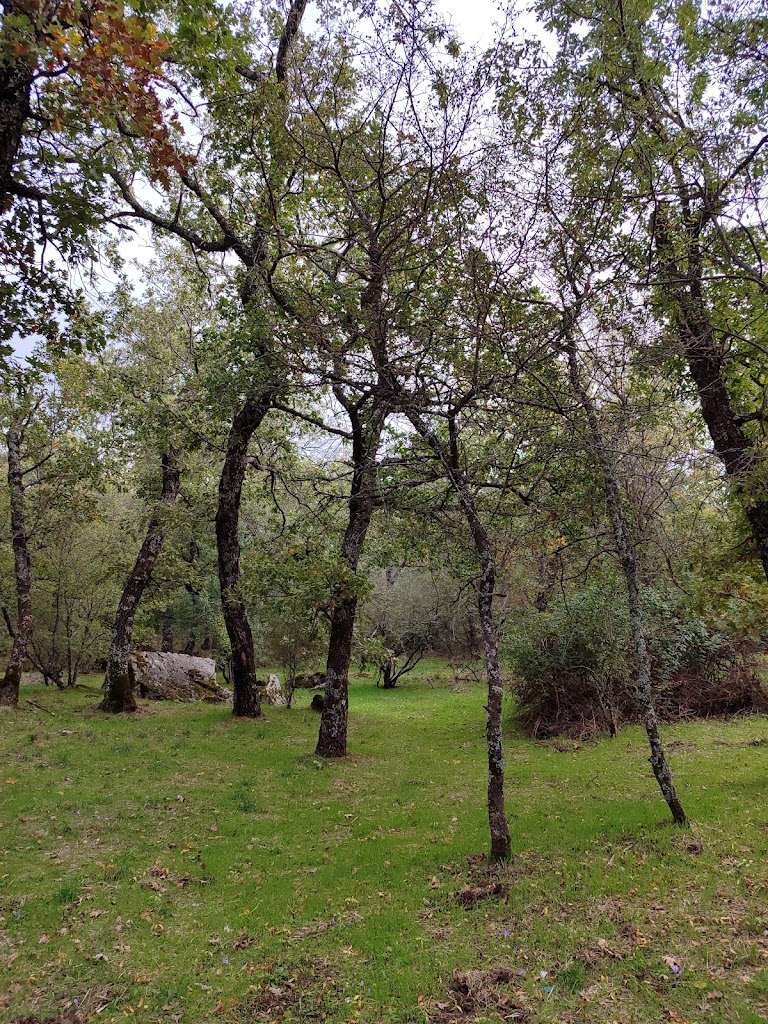 Sendero a la silla de Felipe II