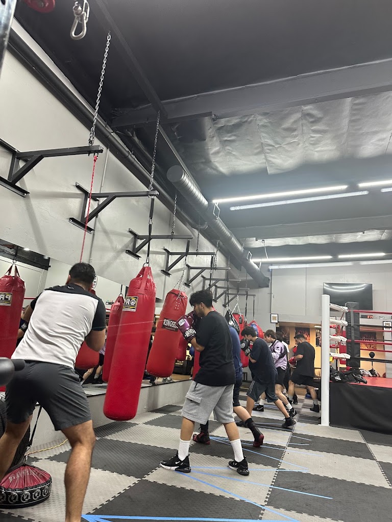  West End Boxing & Fitness